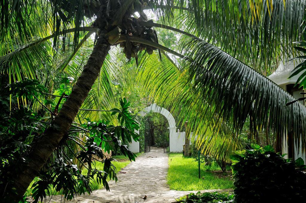 Amarte Maroma Hotel Eco Boutique Spa Punta Maroma Екстериор снимка