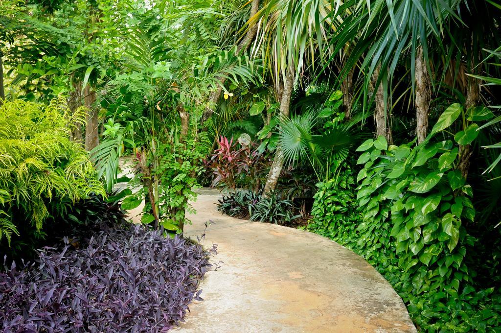 Amarte Maroma Hotel Eco Boutique Spa Punta Maroma Екстериор снимка